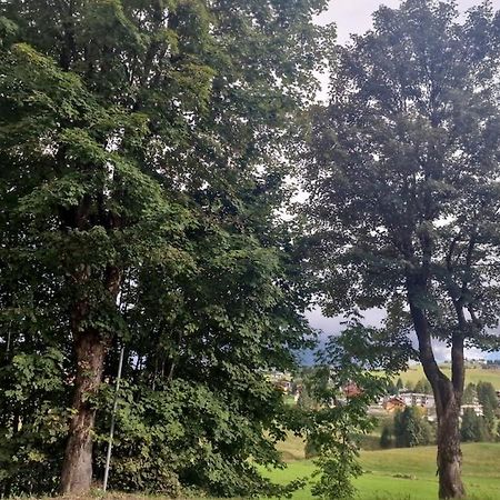 Appartamento Di Montagna A Gallio L'Albero Della Vita Exterior photo